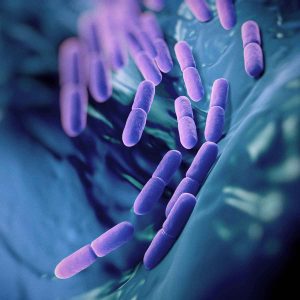 PROBIOTICS & PREBIOTICS